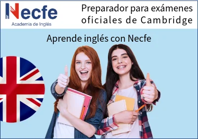 NECFE-4