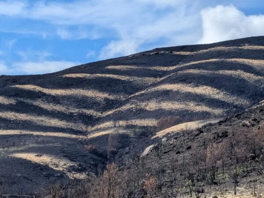 monte quemado