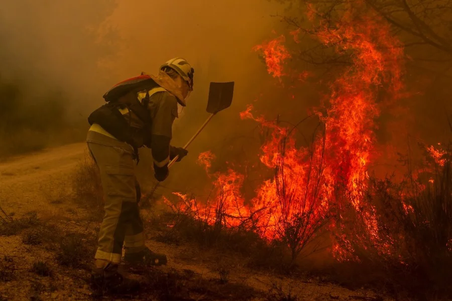 Un brigadista forestal intenta apagar unas llamas | Foto de WWF