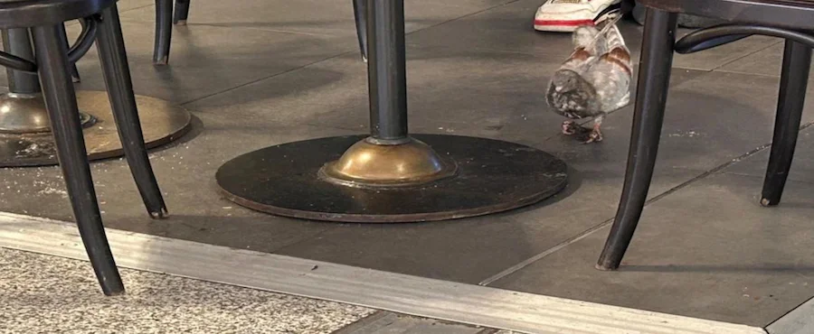 aeropuerto