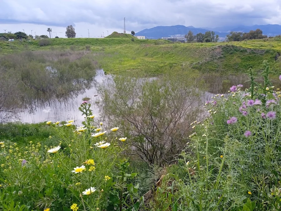 Plataforma Laguna Soliva - soliva