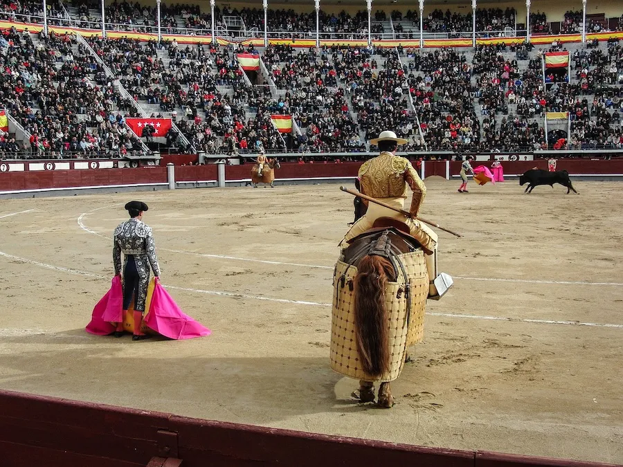 toro-112069_1280