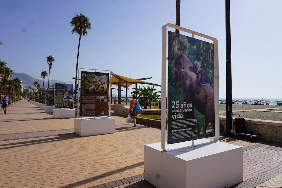 Exposición 25 Aniversario Paseo Marítimo Los Boliches BIOPARC Fuengirola (4)