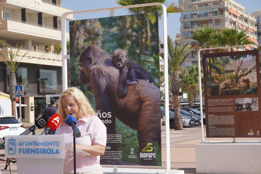 Exposición 25 Aniversario Paseo Marítimo Los Boliches BIOPARC Fuengirola (7)