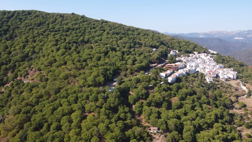 DJI_0338