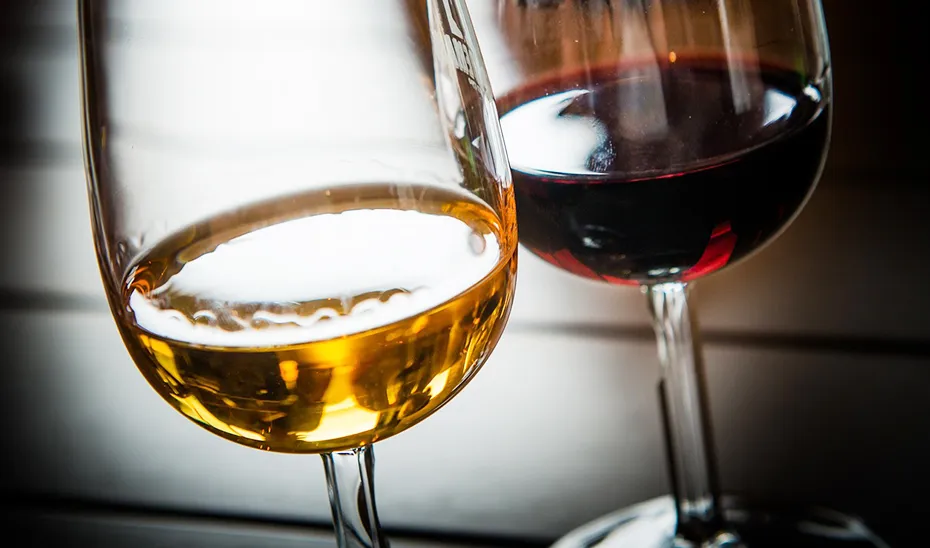 1716544633915vinosgenerososESTANDAR