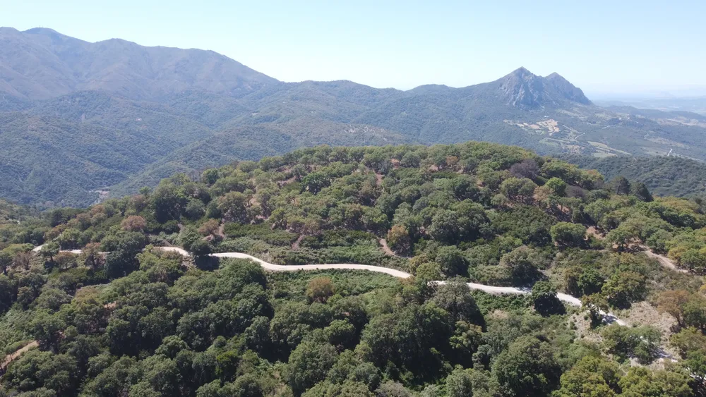 DJI_0468