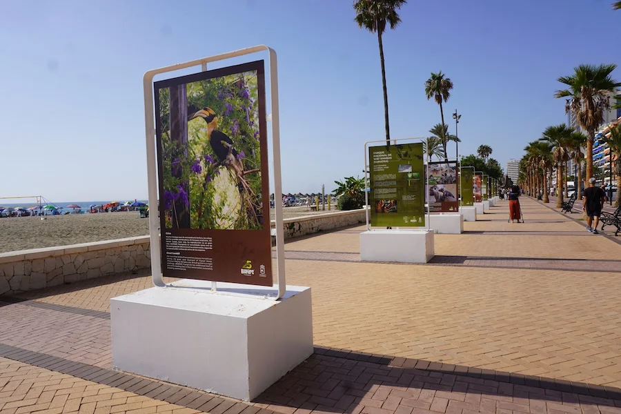 Exposición 25 Aniversario Paseo Marítimo Los Boliches BIOPARC Fuengirola (2)