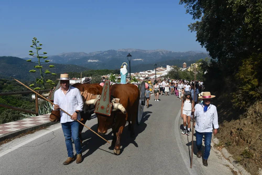 DSC_0901 (1)