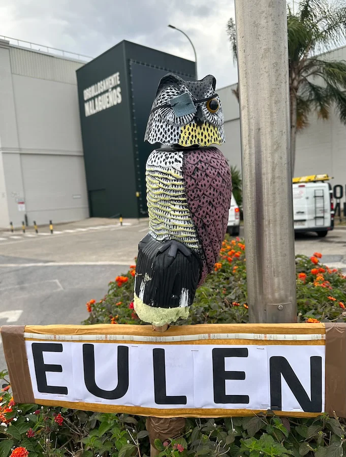 EULEM CGT2