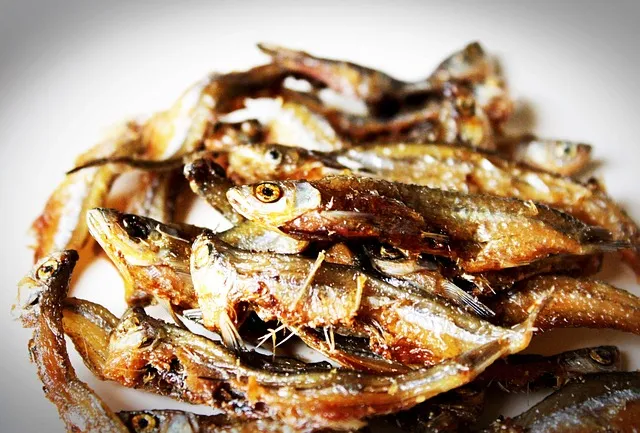 pescaito-IP