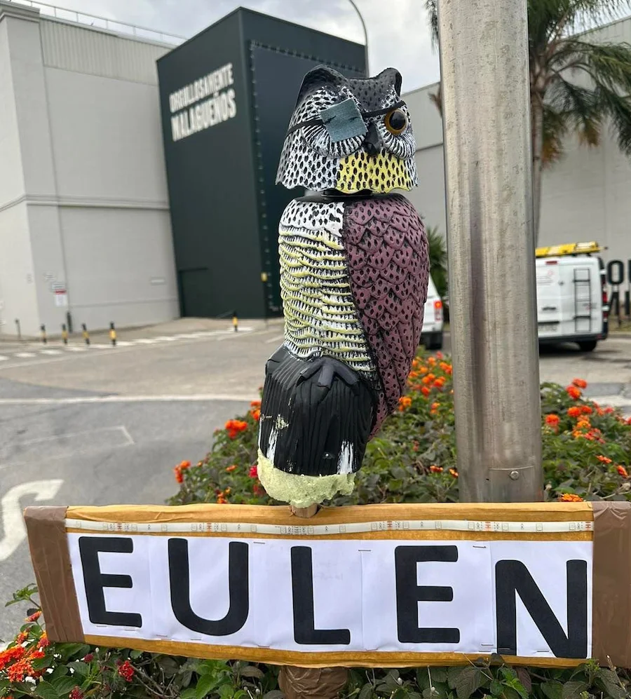 Eulen 3