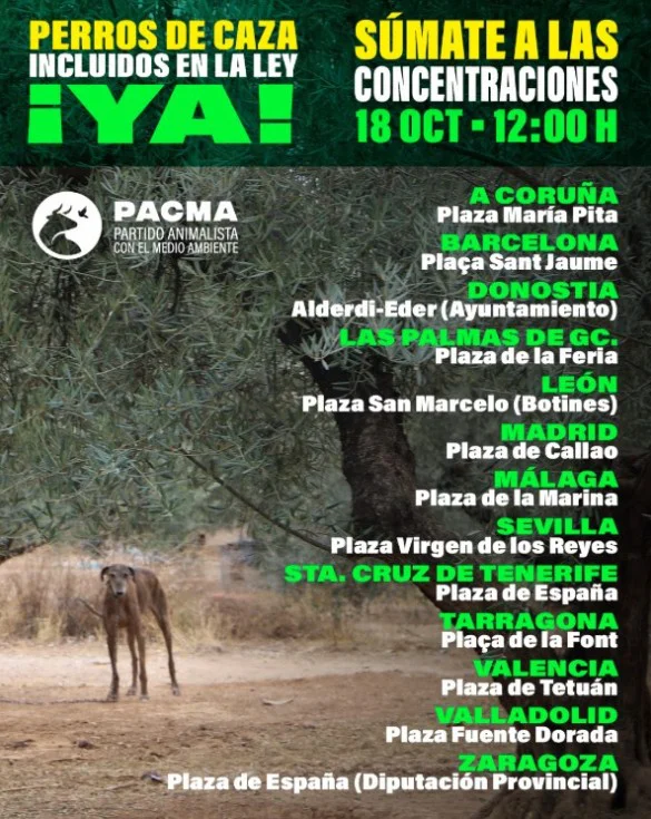 PACMA perros de caza