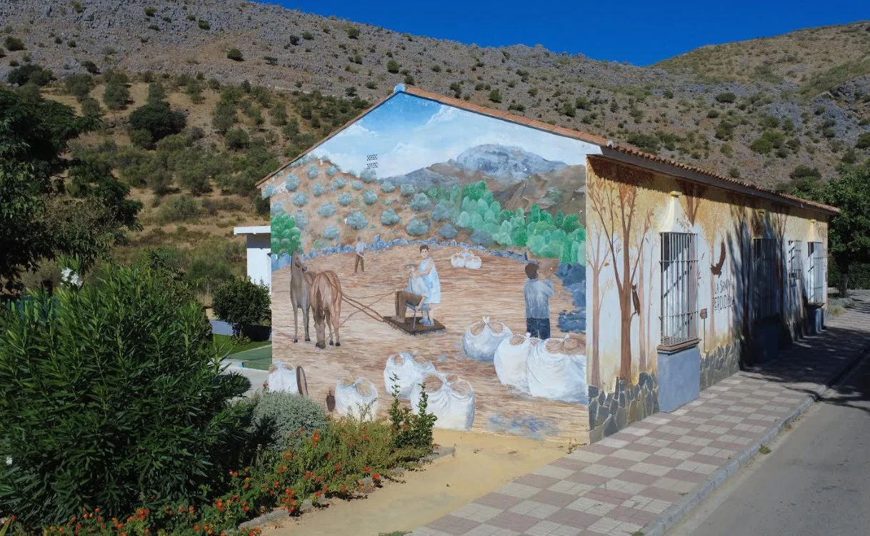 Cartajima murales artisticos