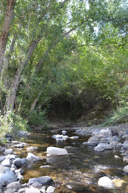 DSC09600 (3)