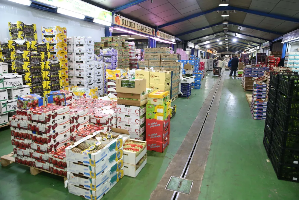 Nave Fruta y Hortaliza1
